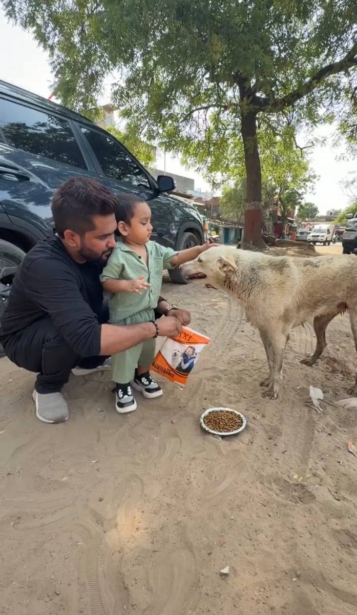 Dog feeding photo 1